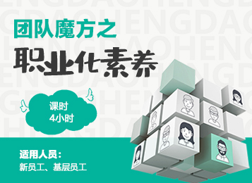 团队魔方之《职业化素质》