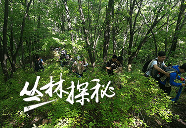 户外团建—丛林探秘野外求生拓展